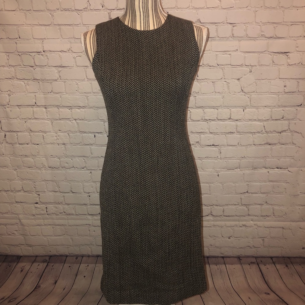 Ann Taylor Sleeveless 100% Wool Dress.